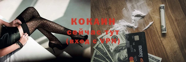 соль ск Белокуриха