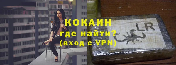 соль ск Белокуриха