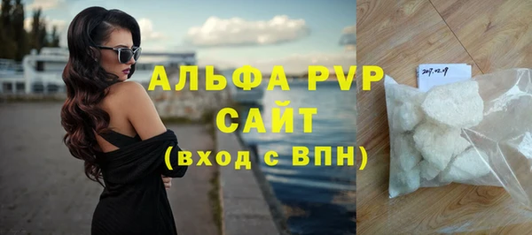 гидра Богданович