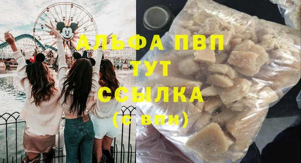 гидра Богданович
