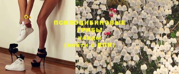 гидра Богданович