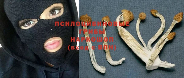 марки lsd Богородицк
