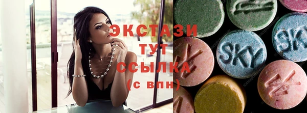 гидра Богданович